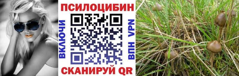 KRAKEN   Муром  Галлюциногенные грибы мухоморы 