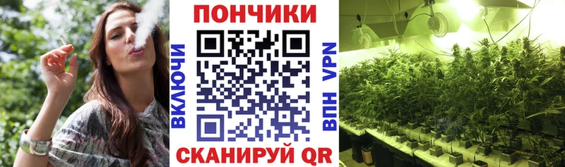 МЕГА ссылки  где можно купить   Муром  Конопля Ganja 